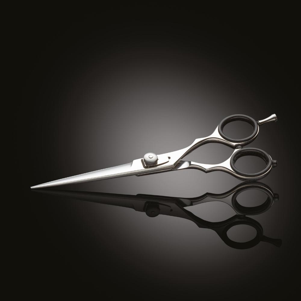 Iwasaki Executive Silver Fuji scissor 5