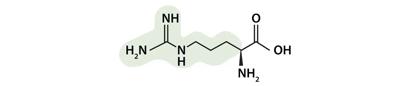 Arginine