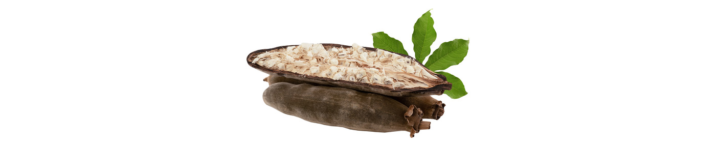 Baobab Fruit Extract