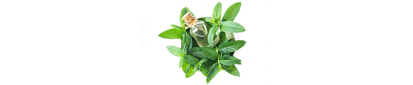 Peppermint essential oil