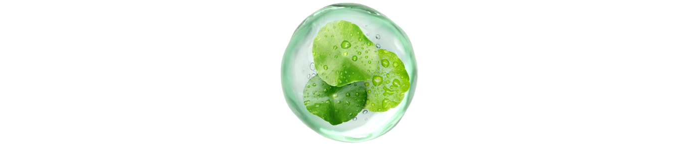 Centella Stem Cell Extract