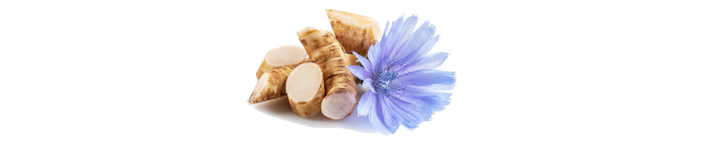 Chicory Root Oligosaccharides