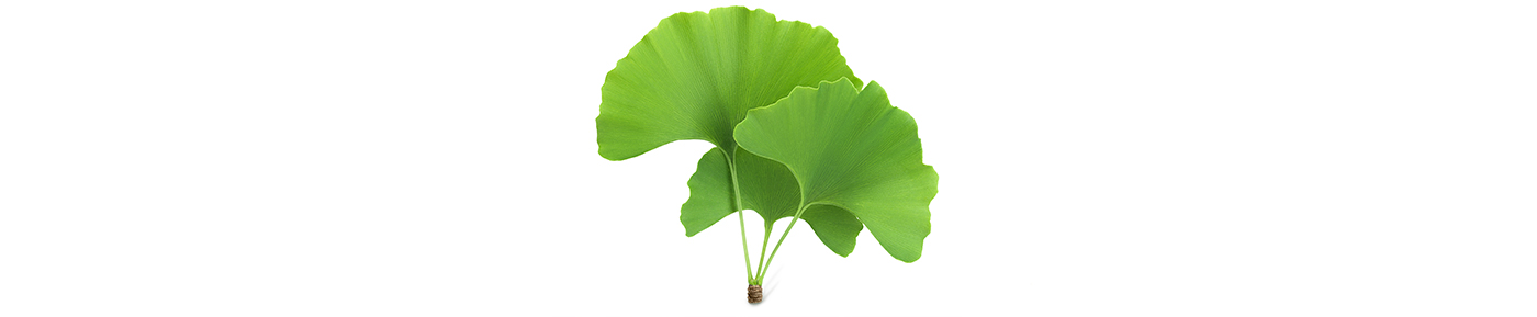 Ginkgo Biloba extract