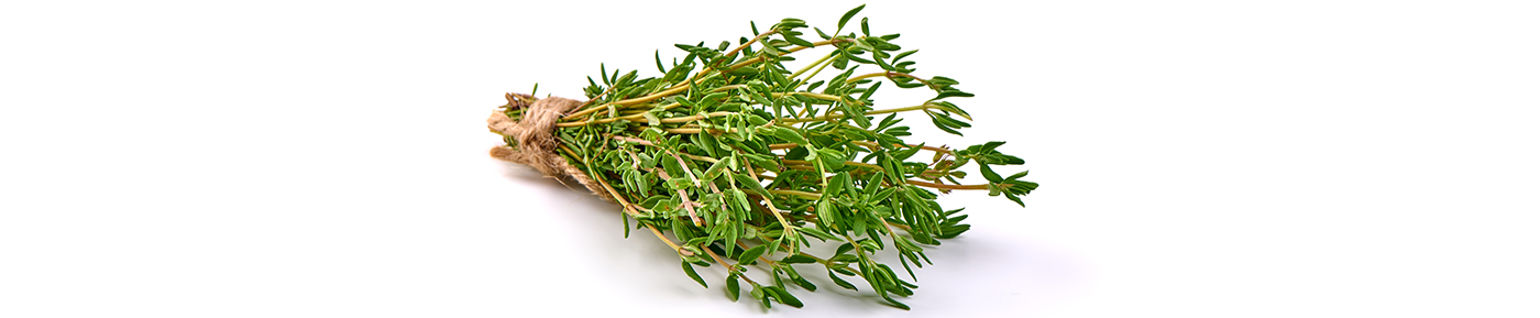 Thyme