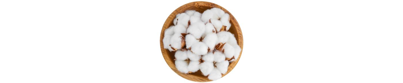 Arabian Cotton