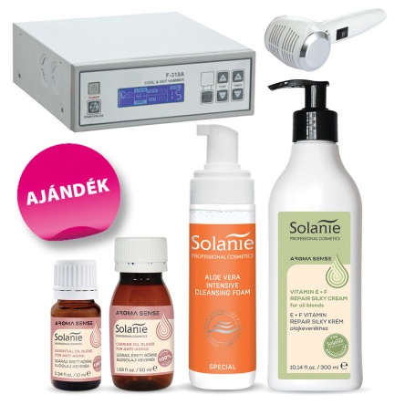Modular skin ironing equipment