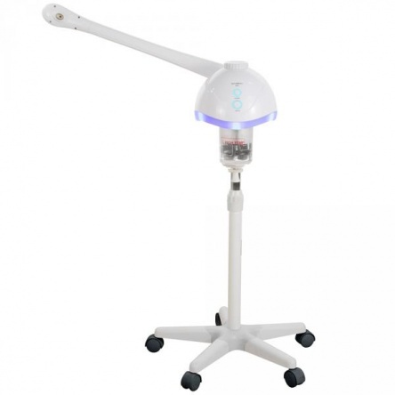Facial Steamer