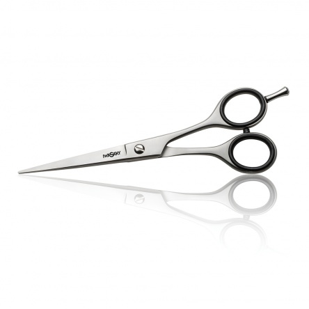 Iwasaki Steel Hairdressing scissor size 6