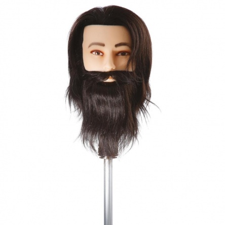 Training head with beard and hair short