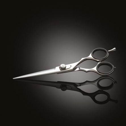 Iwasaki Executive Silver Fuji scissor 5