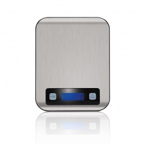 Steel digital scale