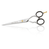 Iwasaki Seki LineHairdressing Scissor 6