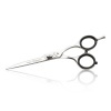 Iwasaki Okayama hairdressing scissor 5,5