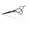 Lameo Executive E2 Offset Hairdressing scissor 5,5