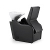 Vega washing unit